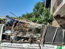 Professional Junk Removal Services in Shepherd, MI