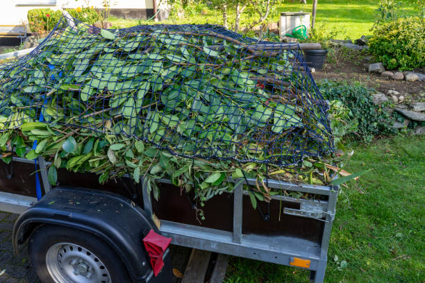 Best Hoarding Cleanup  in Shepherd, MI